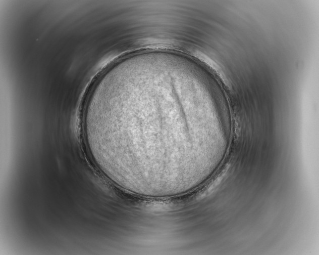 X0000093441074200710261035