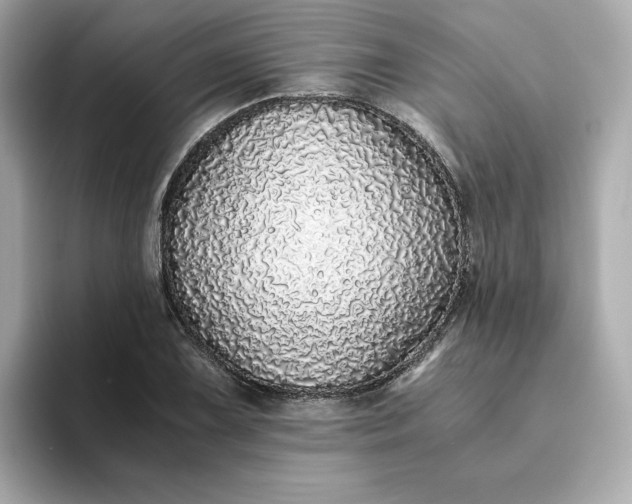 X0000093441075200710261035