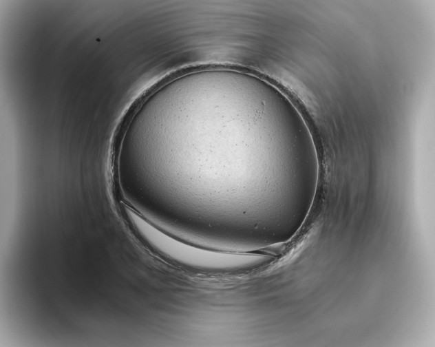 X0000093441077200710261035
