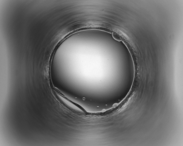 X0000093441081200710261035