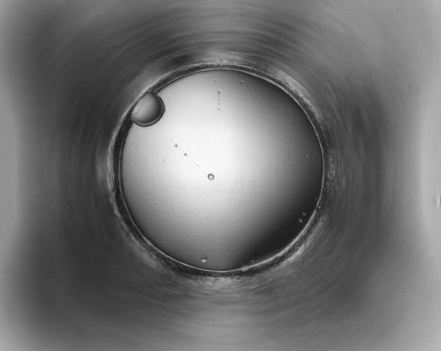 X0000093441082200710261035