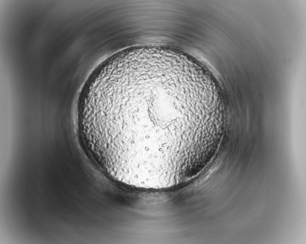 X0000093441083200710261035