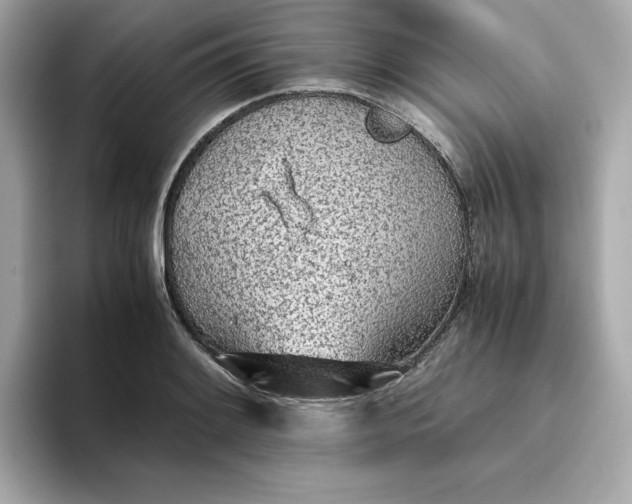 X0000093441084200710261035