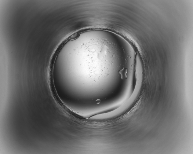 X0000093441085200710261035