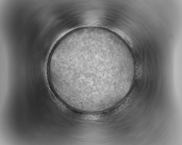 X0000093441086200710261035