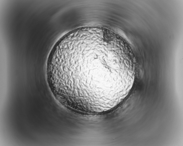 X0000093441087200710261035