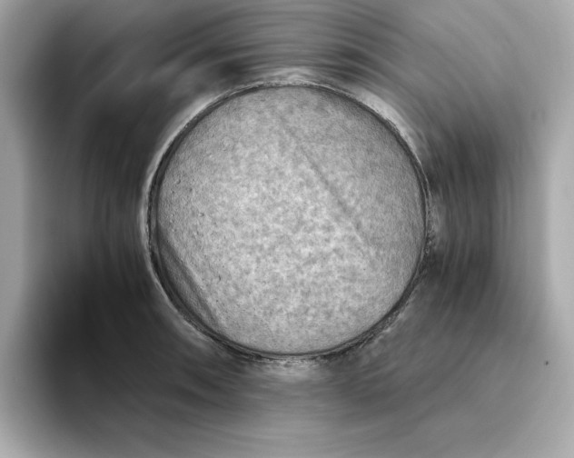 X0000093441090200710261035