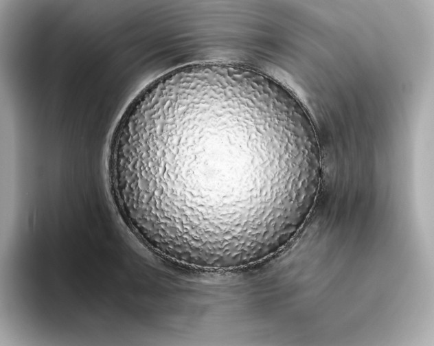 X0000093441091200710261035