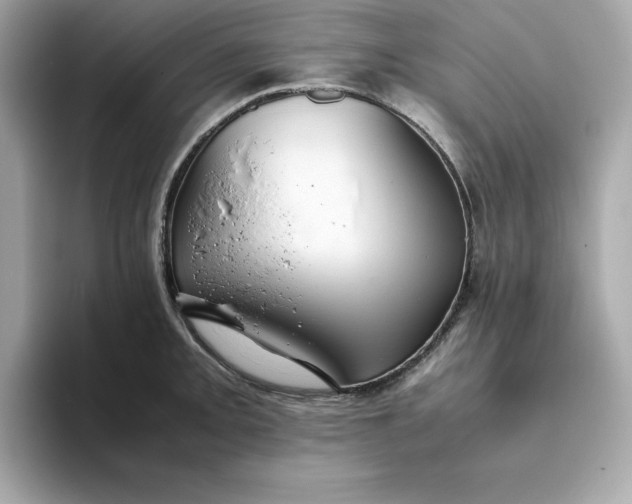 X0000093441093200710261035