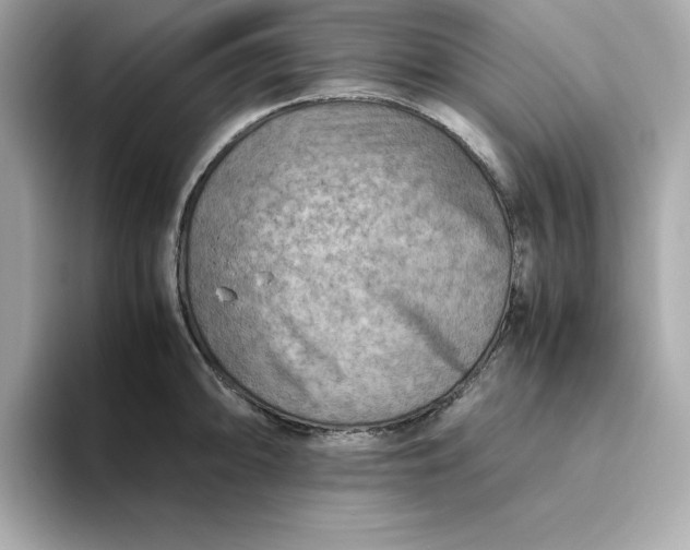 X0000093441094200710261035