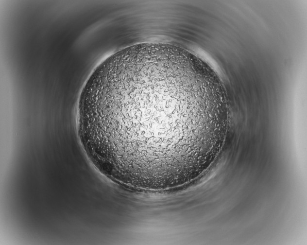 X0000093441095200710261035