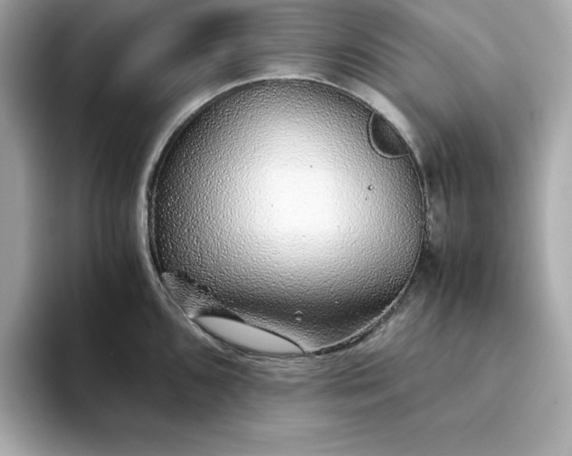 X0000093441096200710261035
