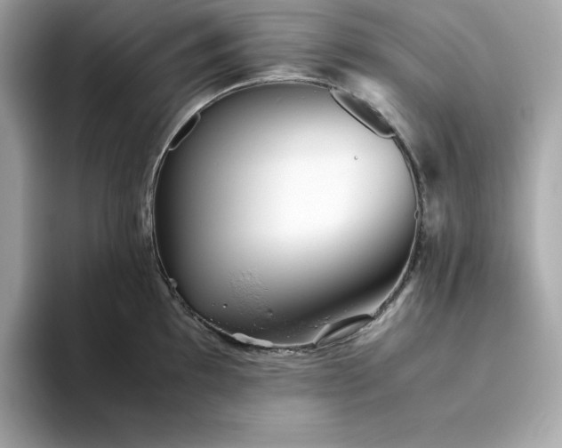 X0000093441097200710261035