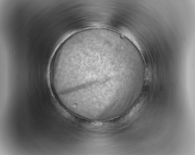 X0000093441098200710261035