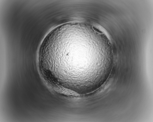 X0000093441099200710261035