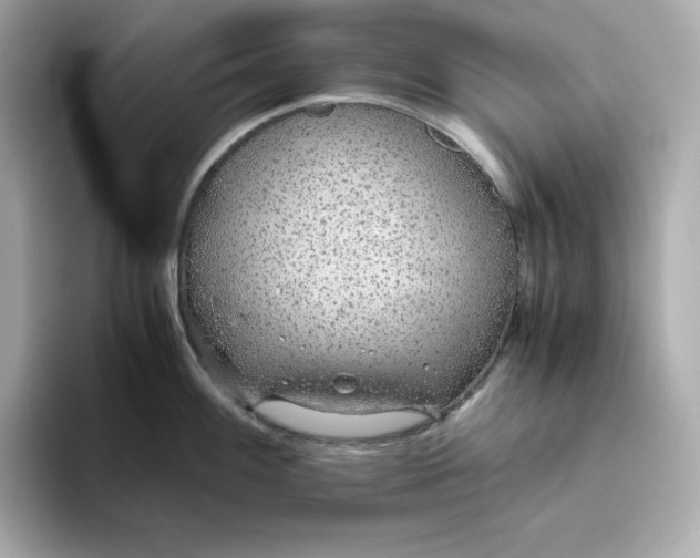 X0000093441100200710261035
