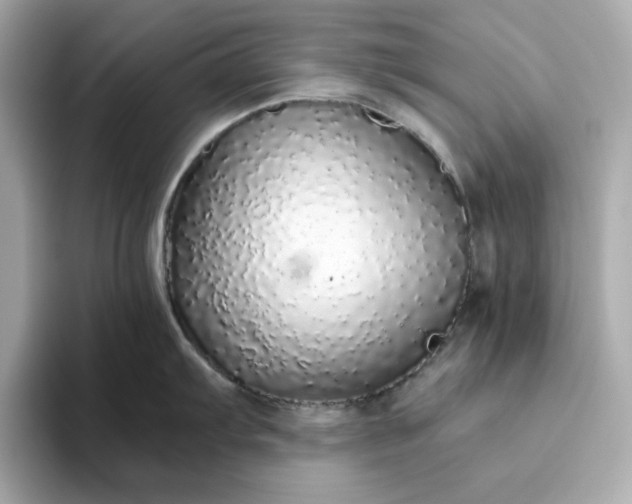 X0000093441103200710261035