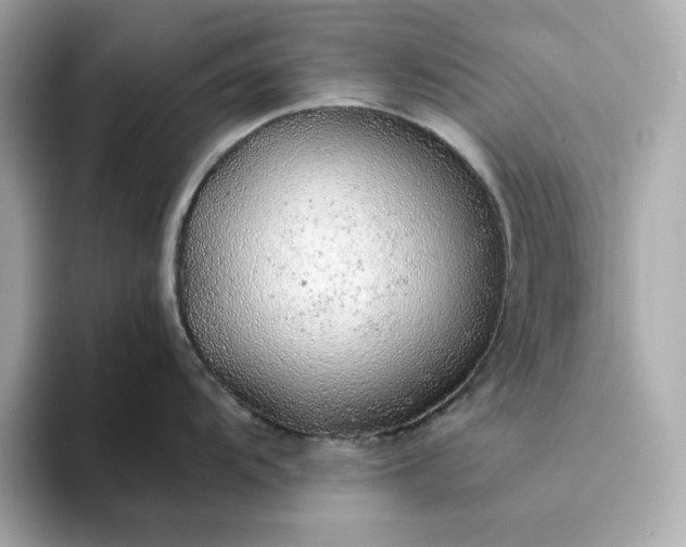 X0000093441104200710261035