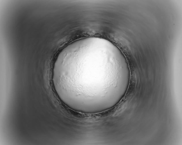 X0000093441105200710261034