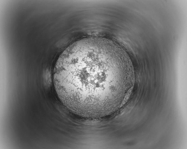 X0000093441106200710261034