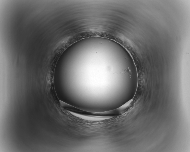 X0000093441110200710261034