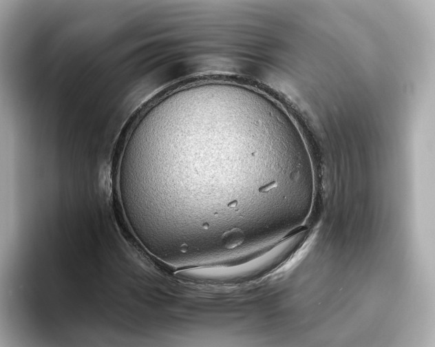 X0000093441113200710261034