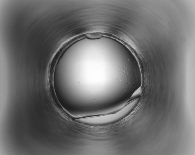X0000093441116200710261034
