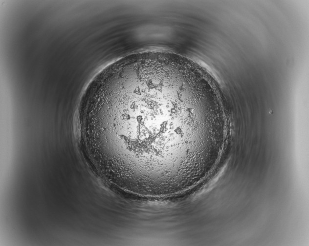 X0000093441117200710261034