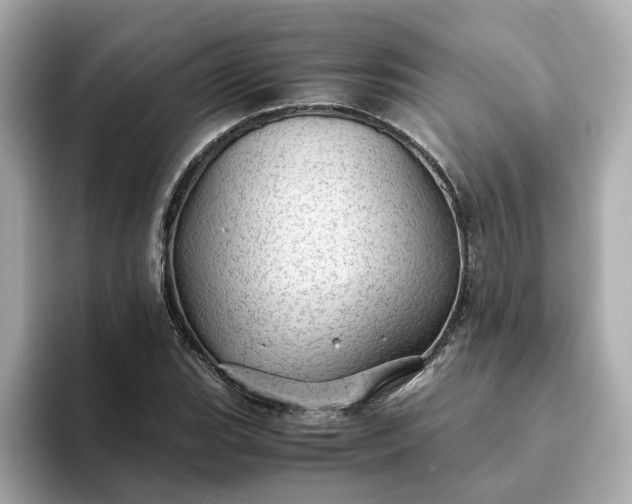 X0000093441119200710261034