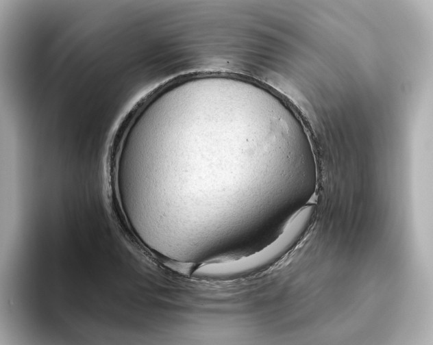 X0000093441120200710261034