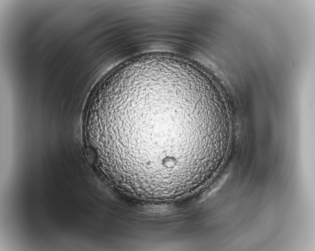 X0000093441121200710261034