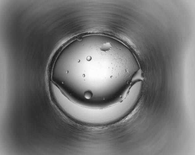 X0000093441122200710261034