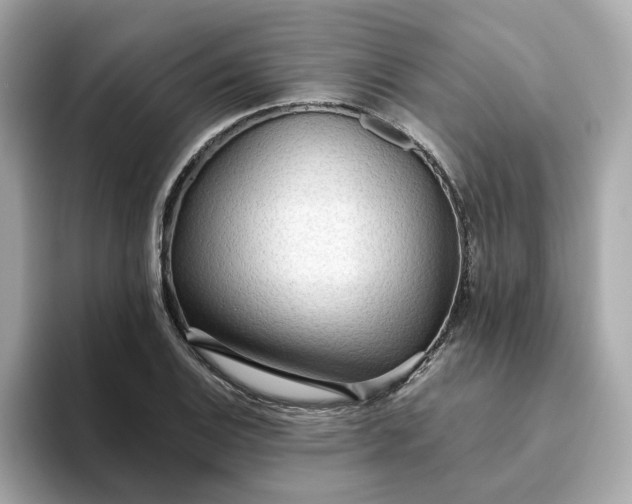 X0000093441124200710261034