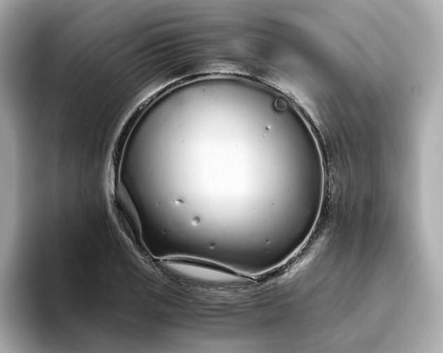 X0000093441125200710261034
