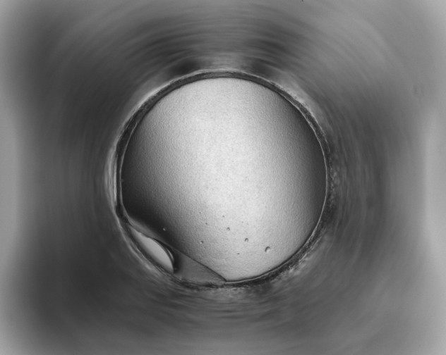 X0000093441127200710261034