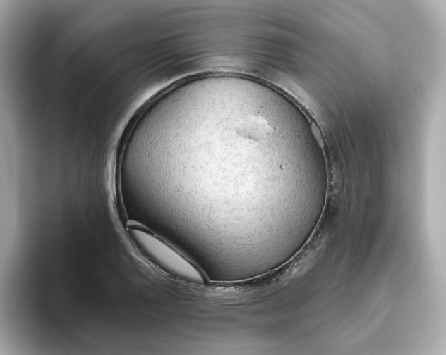 X0000093441128200710261034