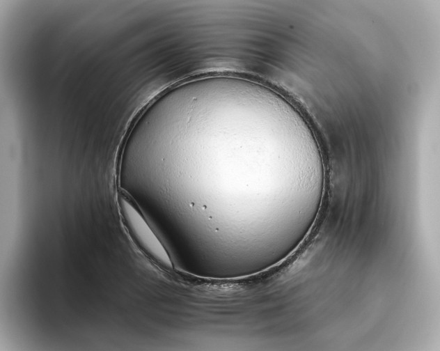 X0000093441129200710261034