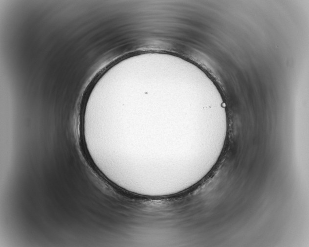 X0000093441130200710261034