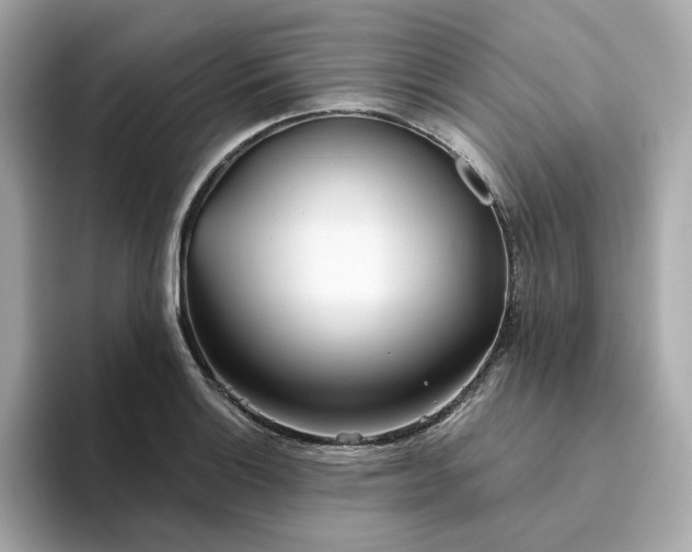 X0000093441132200710261034