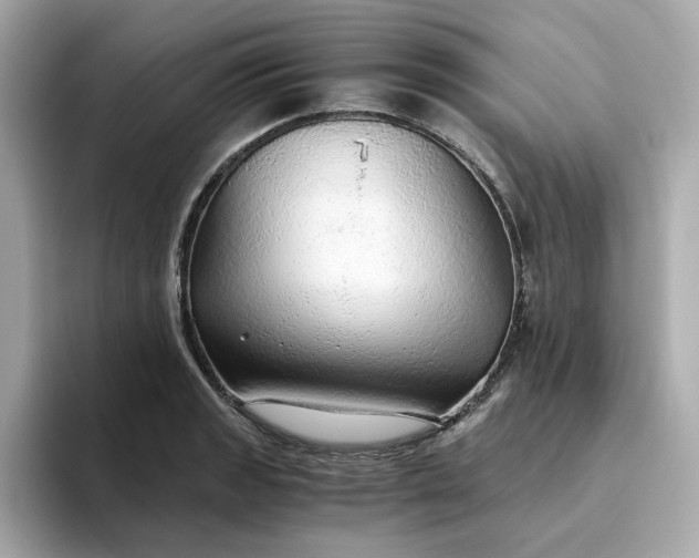 X0000093441133200710261034