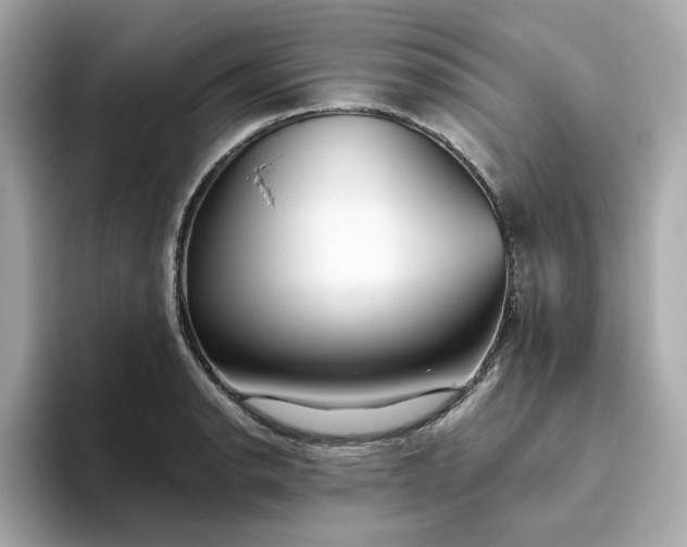 X0000093441134200710261034