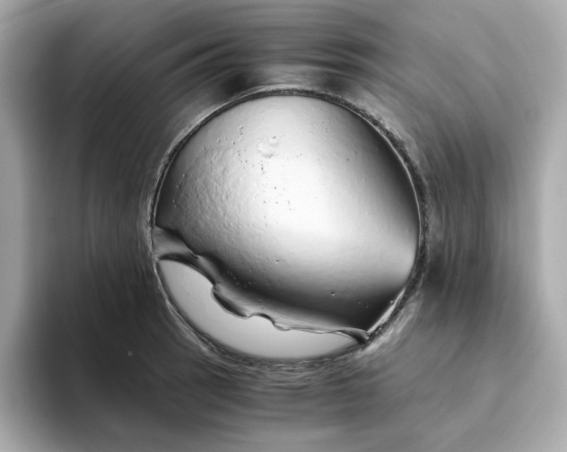 X0000093441137200710261034