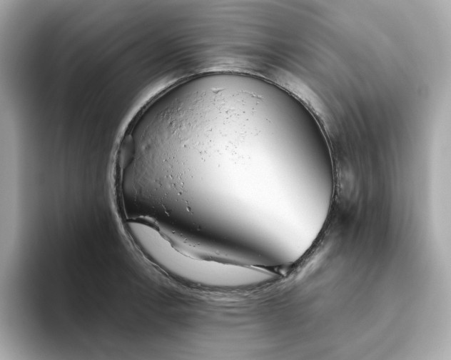X0000093441138200710261034