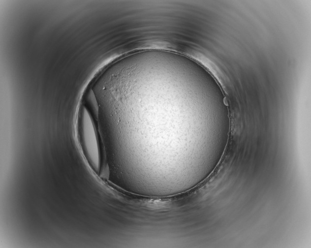 X0000093441139200710261034