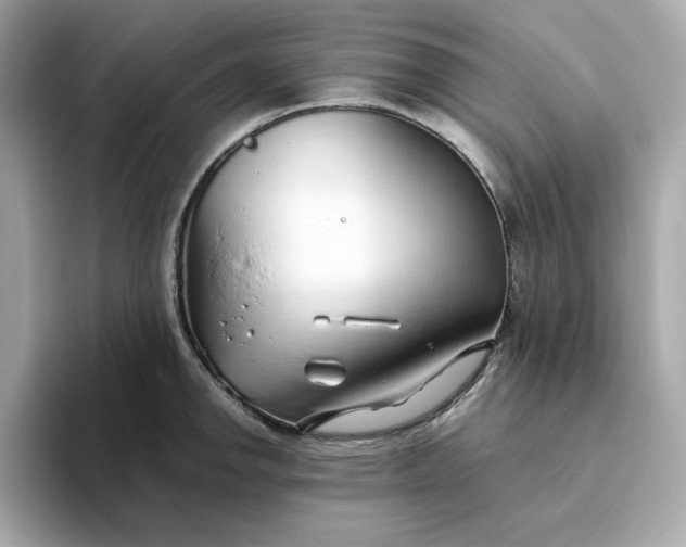 X0000093441142200710261035