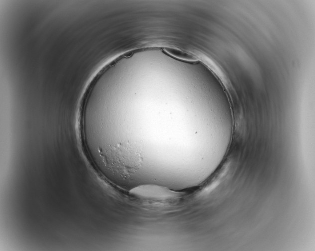 X0000093441149200710261035