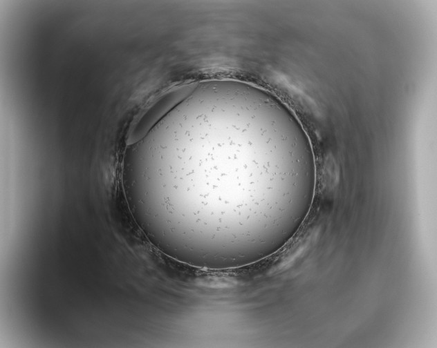 X0000093441157200710261034