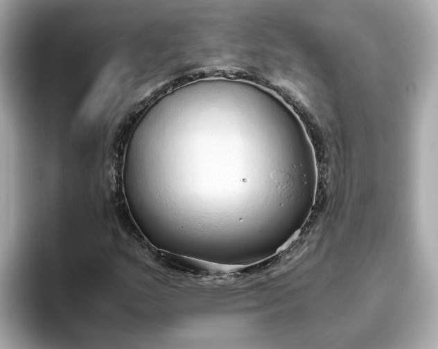 X0000093441159200710261034