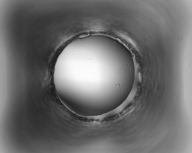 X0000093441160200710261034