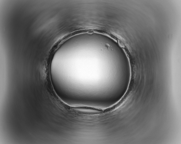 X0000093441163200710261034